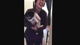 talking husky puppy