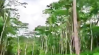 More nature less stress less pressure