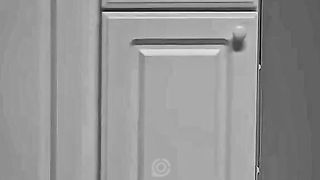 A stranger in the kitchen