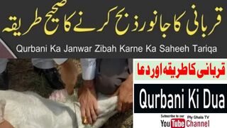 Qurbani Ki Dua Aur Tarika 2023,Qurbani Ki Dua 2023,Janwar Zibah Karne Ka Tariqa 2023 #PlyGhalaTV