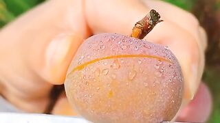 Amazin fruits