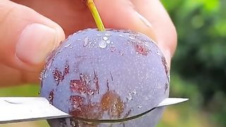Amazing fruits,