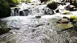Water nature