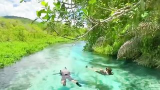Brazil natur