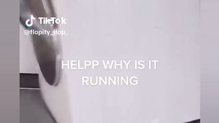 Funny TikToks moments