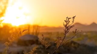 Piano Music for Sleep