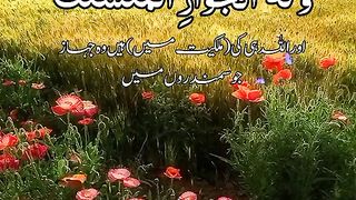 Beautiful Tilawat Recitation 4