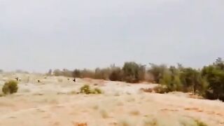 Desert view