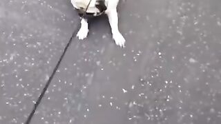 memes i found on tiktok pt.5