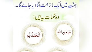 میری جَانب بھی ہو اِک نگاہِ کرم، اے شفیع الواریٰﷺ، خاتم الانبیاءﷺ 69