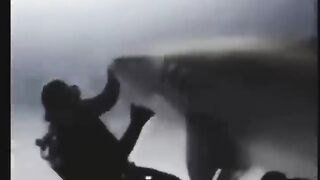 memes i found on tiktok pt.15