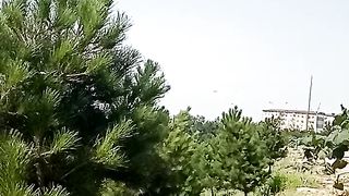 ДВИЖЕНИЯ