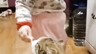 cat & babby