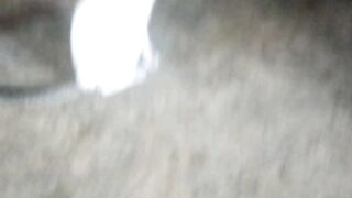 When cat hungry? Cats says mew mew,,