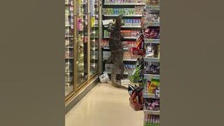 Funniest ANIMAL FAILS IN 1 Minute! #2 ????