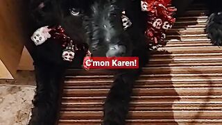 Dear Karen, I'm No Christmas Tree!!
