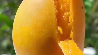 Real fruit cake mango latte