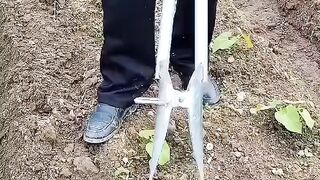 Agriculture vedio