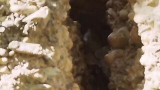Intelligent monkeys saves the rodents