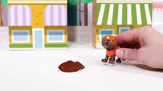 Paw patrol private adventure!