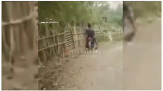сборник смешных видео 2022