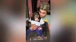 Funniest monkeys ever
