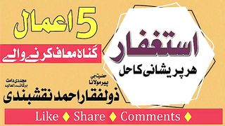 پیر ذوالفقار احمد نقشبندی