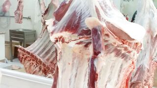 Best protein red cow meat