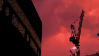 video 132