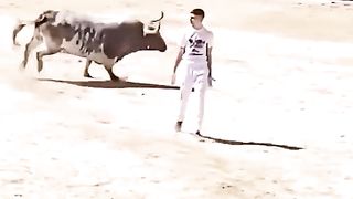 The Bull