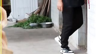 Clever Dog