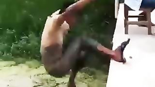 Funny video
