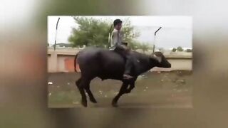 Funny Things Happen Only in Pakistan/Comedy/Be a Pakistani. 2