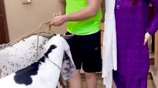 Bivi ko Qarbani Ka Bakrra Bana Deyaa