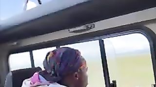 DID HE SAW THE BUFFALO