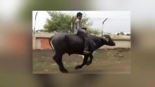 Funny Things Happen Only in Pakistan/Comedy/Be a Pakistani. 3