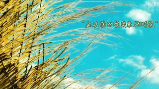 Like the sound of the wind is very nice