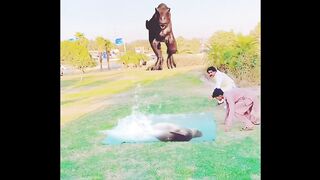 Outstanding Magic