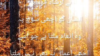 Aqwale zareen short 5