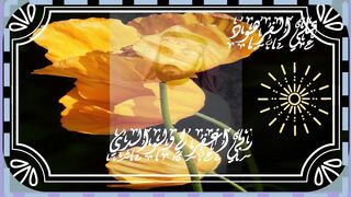 تلاوة رائعة من سورة المائدة