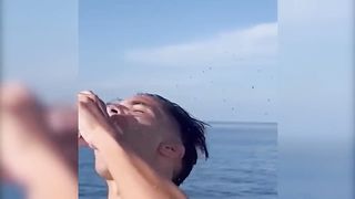 FAIL COMPILATION | Funny Fails | Random Funny Fails | Funny of The Weeks