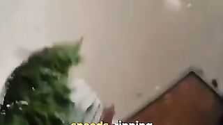 F4 Tornado Hits Village in Czech Republic!.