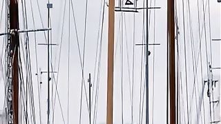 Helicopter Crashes After Hitting Steel Cable!.
