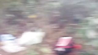 dia de colheita resinas