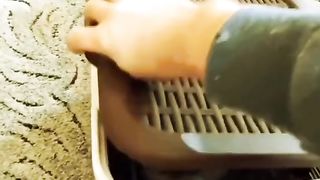 So funny cats compilation 2023 so funny cat videos #shorts