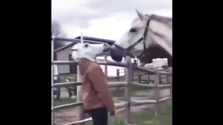 (Clean) Try Not to LAUGH & Challenge IMPOSSIBLE
