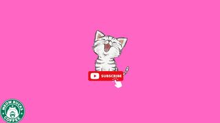 Funny Cat Videos 3