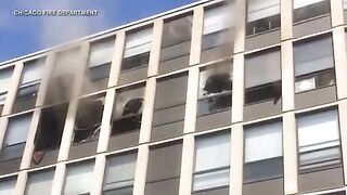 Cat jumps out 5th floor window, survives fall during Englewood fire