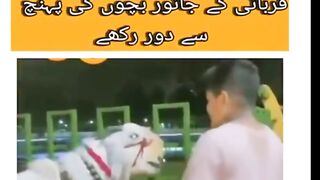 Eid ke Bakre bacchon ke pahunch Se Dur rakhen