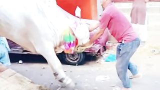 FAVOURITE SCENE OF KARACHI BOYS BACHRA UTARTAY HI BHAAG JAYE